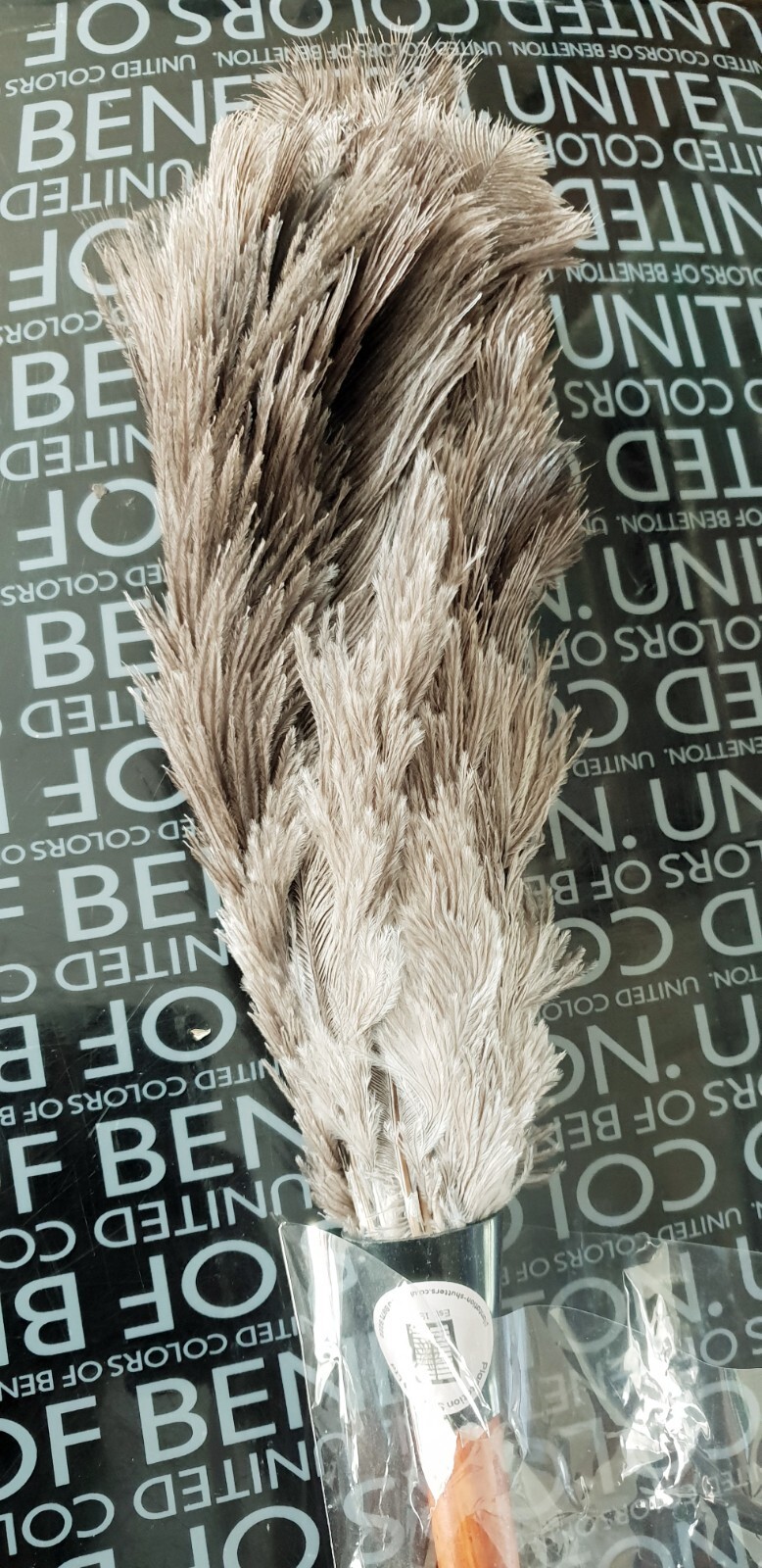 Bild 1 von 6