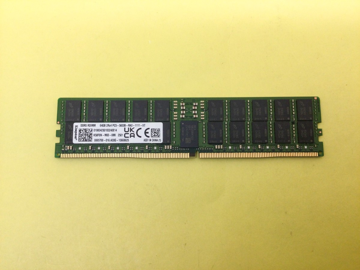 Kingston 64GB (1X64GB) 2RX4 PC5-5600B DDR5 RDIMM SERVER MEMORY