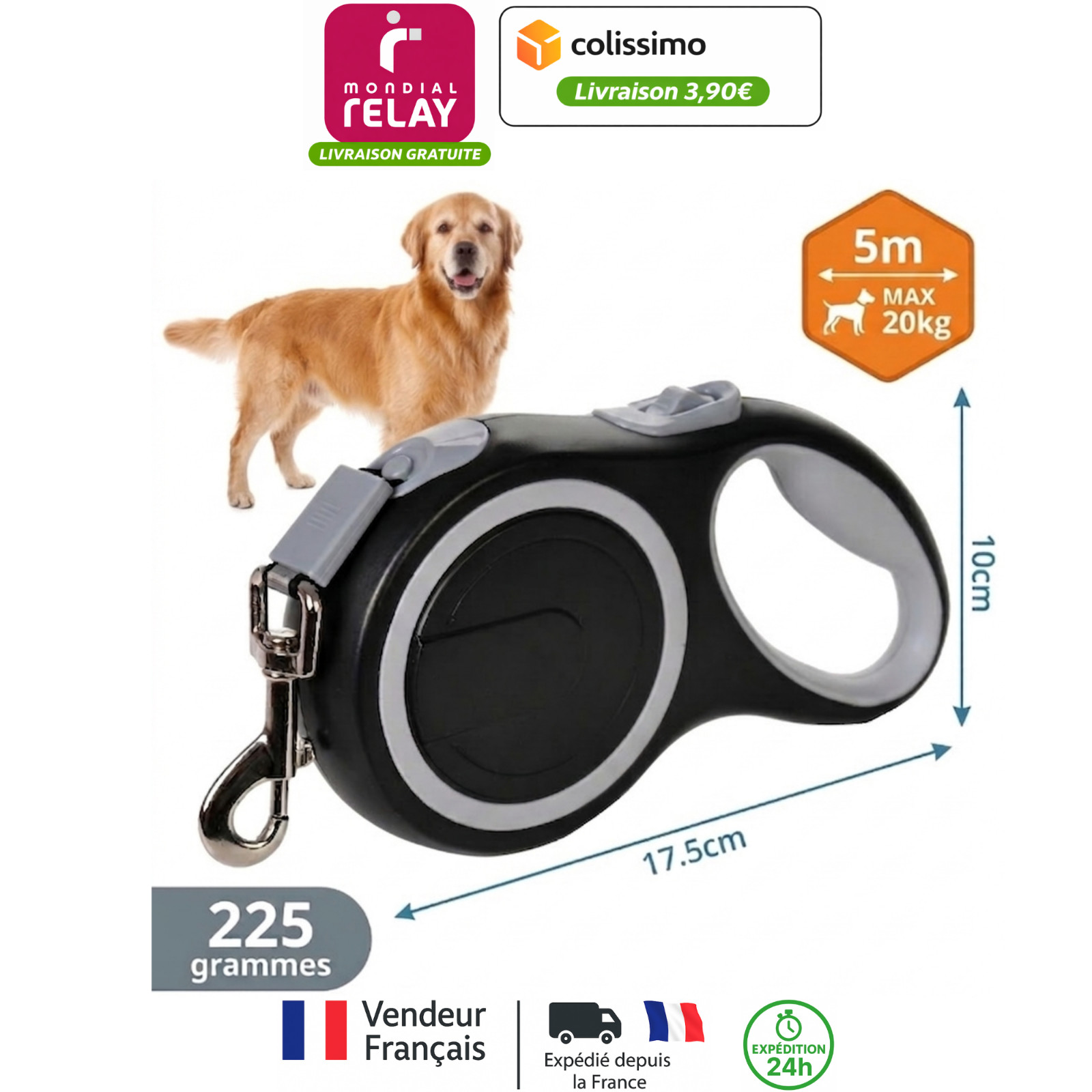 Laisse chien rétractable 5m avec lanière robuste anti-nœud nylon