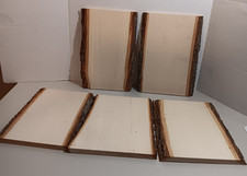 5 - Basswood Country Plank 9" x 13" Medium- Live Edge - Wood Burning Crafts Etc.