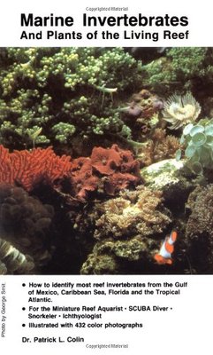 Marine Invertebrates and Plants of the Living Reef - Patrick L. Colin