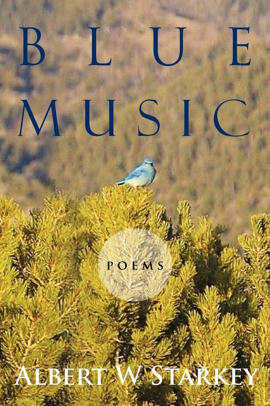 Thumbnail - Blue Music Poems Albert W Starkey Taschenbuch Paperback Englisch 2012