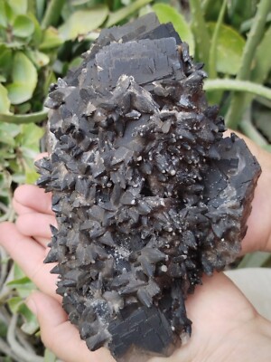 Natural Black Coated Cubic Fluorite And Calcite Crystals