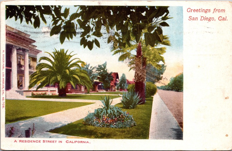 1905 San Diego California Residence Street Palm Trees Rieder Postcard