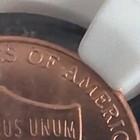 2010-D Lincoln Shield Small Cent NGC MS65 RD Union Shield Reverse 1C — photo 9