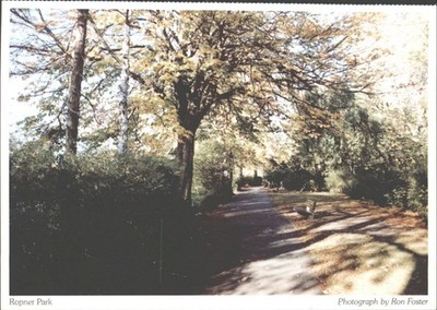 STOCKTON-ON-TEES, ROPNER PARK, Yorkshire - Vintage POSTKARTE