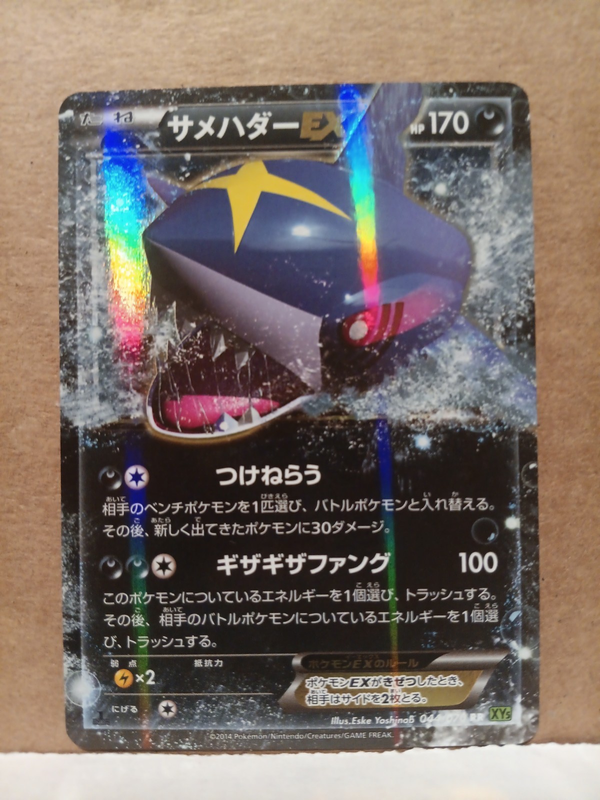 Sharpedo EX 044/070 Tidal Storm XY5 Double Rare Japanese Pokemon Card NM