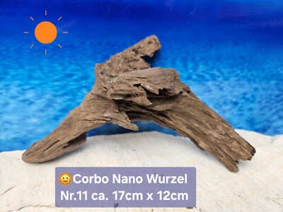 Corbo Root Nano  Aquarium Traum Wurzel