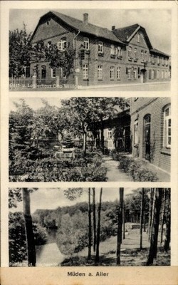 Postcard Müden an der Aller, guest and lodging house Otto Williges, garden - 4335200