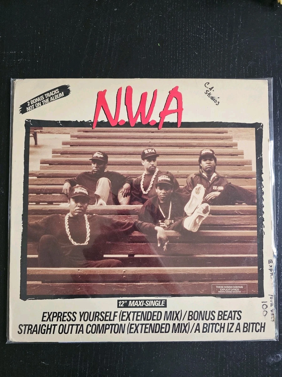 Ice Cube Vinyl Records for sale - eBay