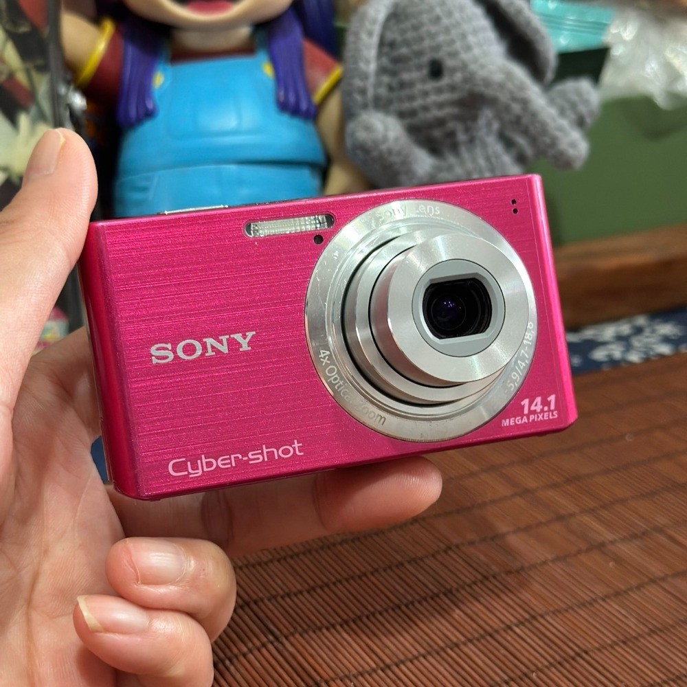 Sony Cyber-shot DSC-W610 14.1MP Digital Camera with 4x Optical