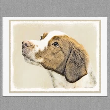 6 Brittany Spaniel Dog Blank Art Note Greeting Cards