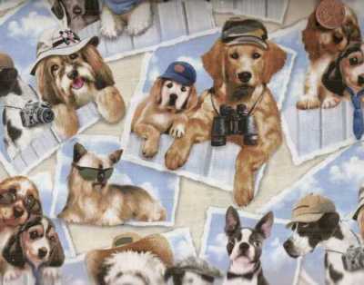Petpourri  dogs  pups dress up  cute snapshots fabric