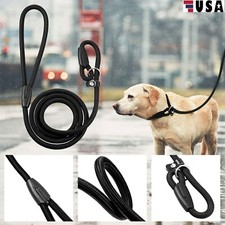 Nylon Strong Training Slip On Rope Puppy Dog Pet Leash Lead No Collar Needed USA