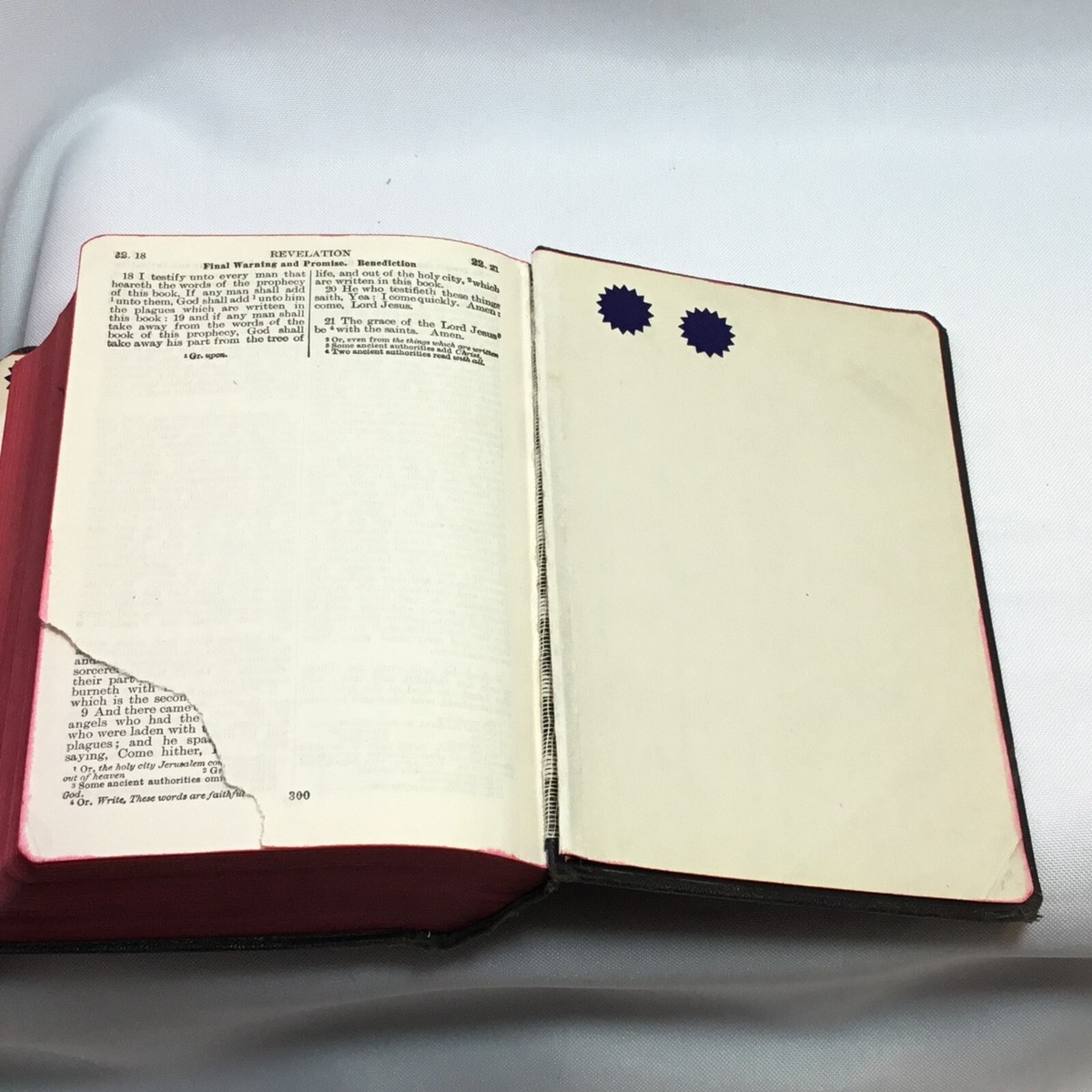 Holy Bible, 1929 American Bible Society Translated Original