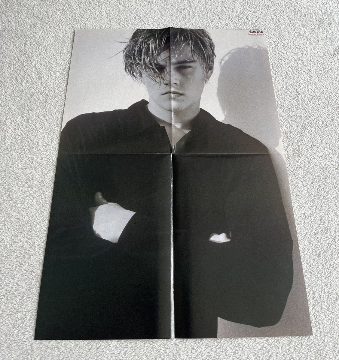 Leonardo DiCaprio 1997 Actor Poster 1990s Swedish Music Magazine