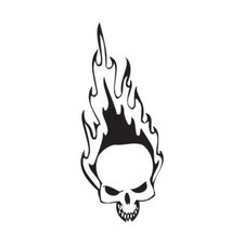 Skull Flames Art - Vinyl Decal Sticker - Multiple Color  Sizes - ebn1079