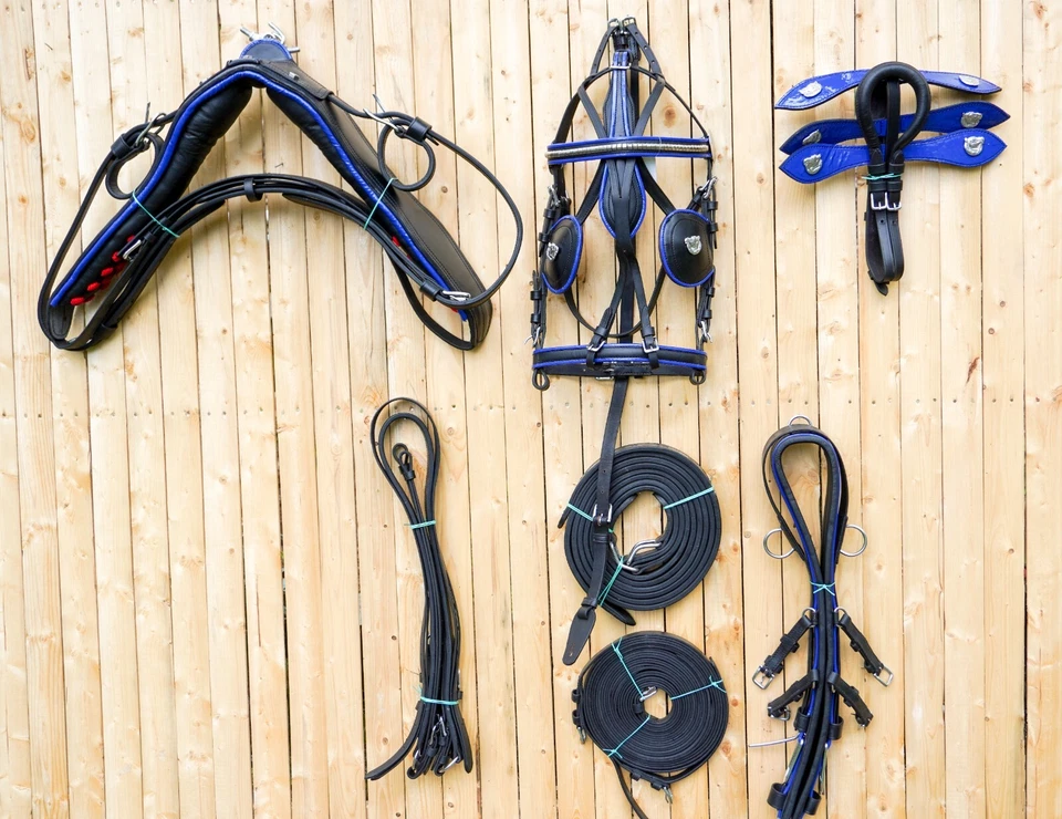 Full Size Leather Horse Driving Harness With Red Trim , Blue Trim & White Trim - Image 4 of 4