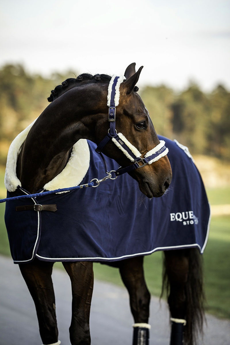 Equestrian Stockholm Halter Set Midnight White Edge Blauw et blanc - poney