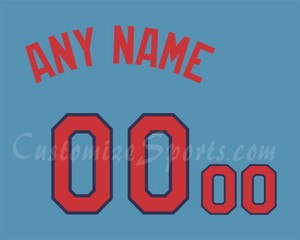 minnesota twins custom jersey