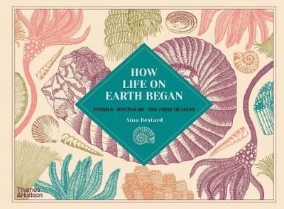 Aina Bestard How Life on Earth Began (Gebundene Ausgabe)