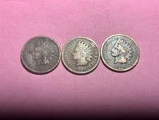  on The Hot Collector