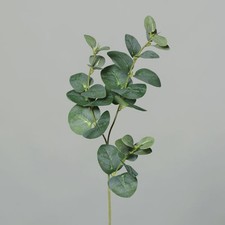 DPI Eukalyptuszweig x3 grün 64 cm  Eukalyptu...