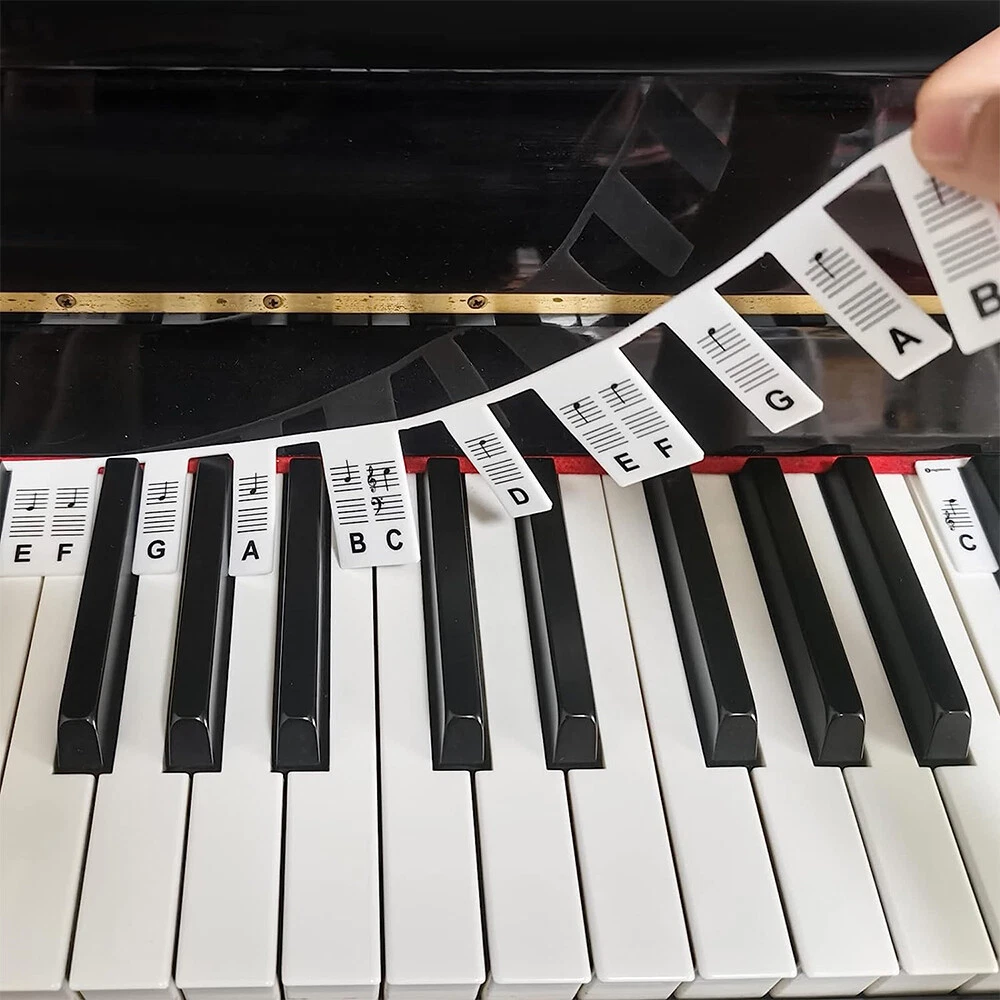 Piano rake 88 keys deals