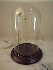 Glass Dome 4 x 7" high with Hardwood Base and Polish Brass Wire Hanger