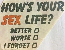 Original Vintage 1976 How  s Your Sex Life Hot Peel Iron On Transfer