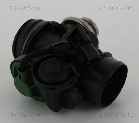 Triscan Agr-Ventil 8813 15056 FüR CitroËN Fiat Peugeot-image