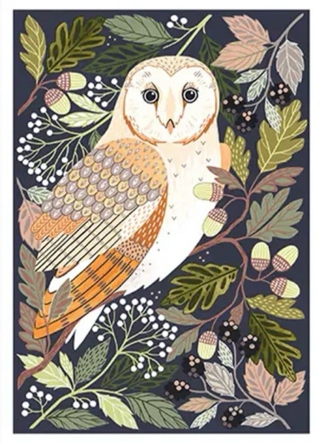 Barn Owl -  Fine Art Blank Greeting / Birthday Card Birds of Prey Owls Wildlife