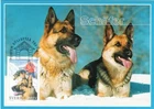 Police Dog German Schäfer Watch Rescue Dog Sweden Stamp Maxi FDC Card 2001