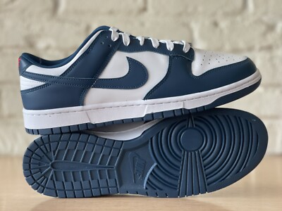 Nike Dunk Low Retro Valerian Blue/White Basketball Shoes Men Size 14 DD1391-400