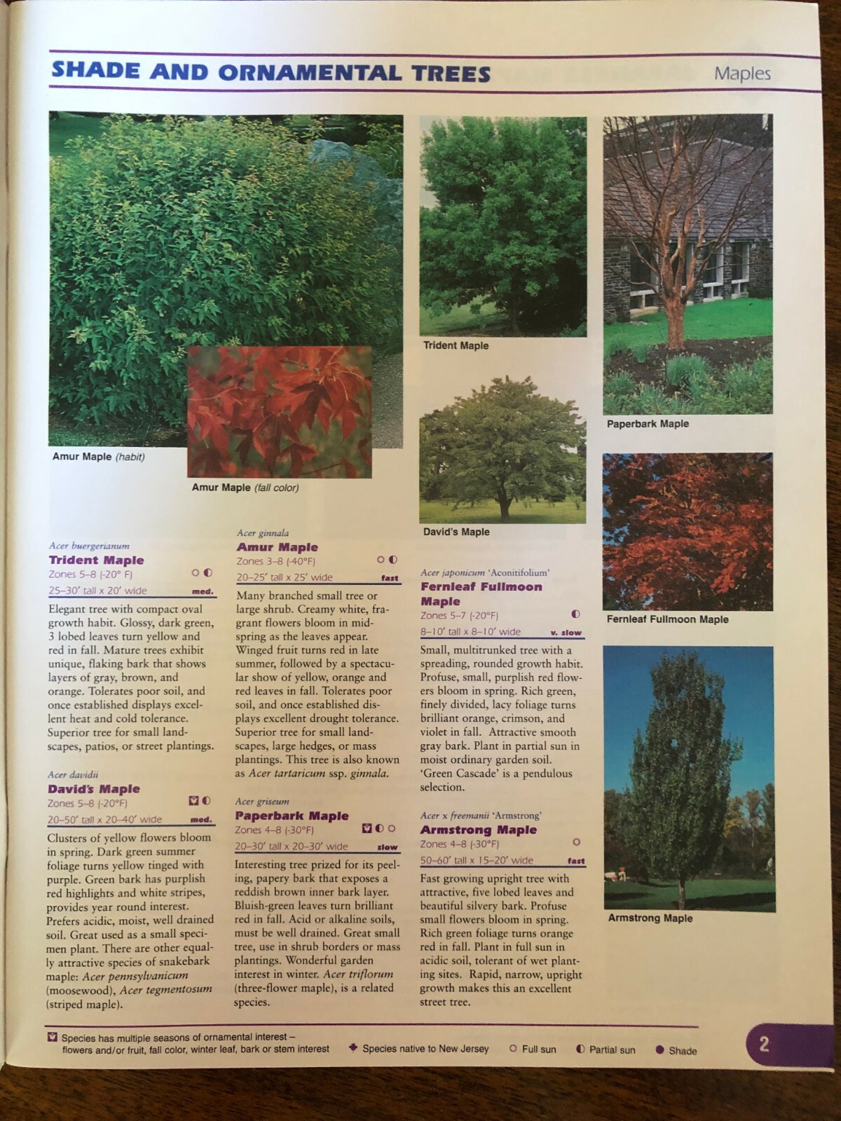 Landscape Plants for New Jersey A Practical Guide to Grow Your NJ