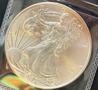 2014 American Eagle Silver - 1 Troy Oz .999 Fine Silver Coin