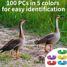 100pcs Chicken Leg Bands, 14-22mm Adjustable Poultry Tags, Durable Multi-Colo...