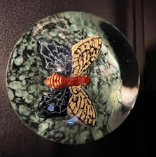 Degenhart & Gentile Butterfly  Paperweighta Art Glass