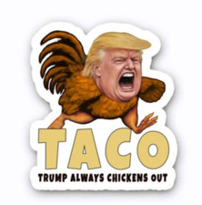 TACO - Trump Always Chickens Out Decals Vinyl Bumper Stickers 20 PACK 4" wide