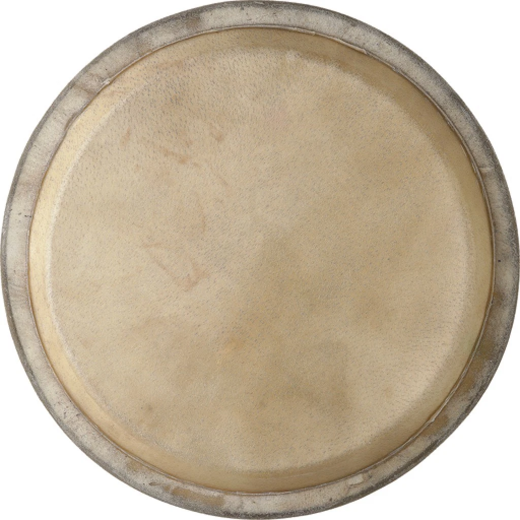 Conga skin replacement deals