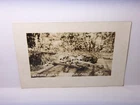 WWI / WW2 ERA GERMAN ARMY MILITARY  POSTCARD  REAL PHOTO BONES VEROUN FRONT