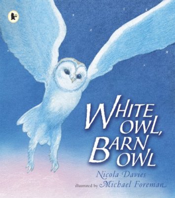 White Owl, Barn Owl,Nicola Davies, Michael Foreman