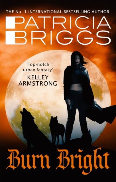 Burn Bright: An Alpha and Omega Novel: Book 5 - Image 4