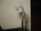 Bild 9 von 9