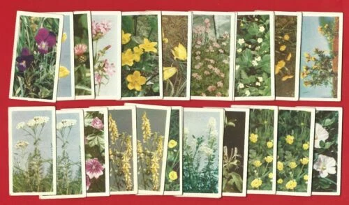 Incomplete Sets Loose Collectable Tea Cards