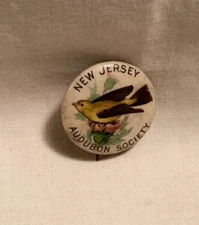 Vintage NEW JERSEY AUDUBON SOCIETY Celluloid Pinback Button Summer Tanager Bird