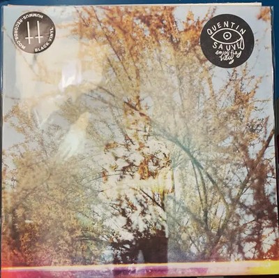 Quentin Sauvé Enjoy The View LTD ED NEAR MINT Hummus Records Vinyl LP