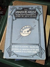Stunning 1906 The Amateur Artist F. Delamotte Antique Art Nouveau Painting Book 