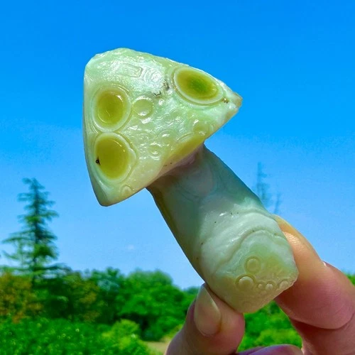 78G Natural Gobi Agate Hand-carved Mushroom Crystal Mineral Healing Madagascar