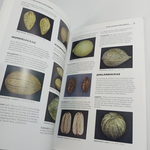 Amazonian Ethnobotanical Dictionary James Alan Duke & Seeds of Amazonian Plants - Picture 14 of 15